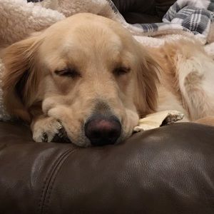 Meet your Posher, Maureen